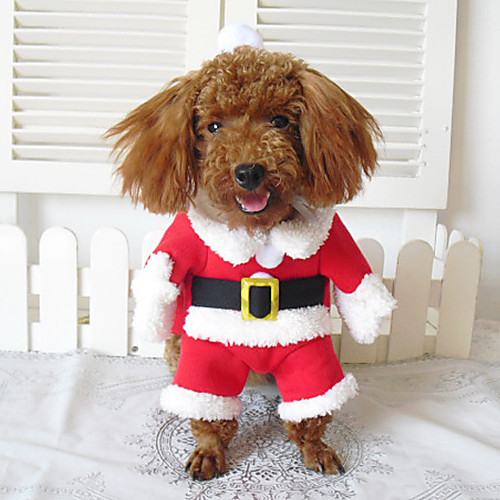 Dog Costume Coat Outfits Santa Claus Cosplay Halloween Christmas Christmas Party Winter Dog Clothes Puppy Clothes Dog Outfits Costume for Girl and Boy Dog Cotton XS S M L XL
Dog Costume Coat Outfits Santa Claus Cosplay Halloween Christmas Christmas Party Winter Dog Clothes Puppy Clothes Dog Outfits Costume for Girl and Boy Dog Cotton XS S M L XL
