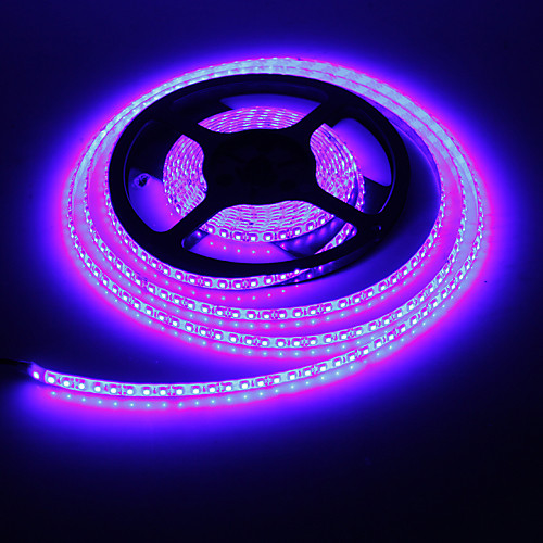 Waterproof 5M 48W 600x3528 SMD Blue Light LED Strip Lamp (DC 12V)
Waterproof 5M 48W 600x3528 SMD Blue Light LED Strip Lamp (DC 12V)