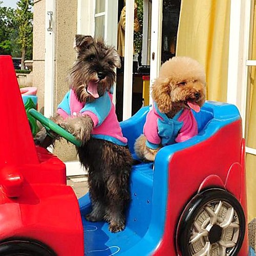 Dog Hoodie Cosplay Winter Dog Clothes Puppy Clothes Dog Outfits Blue Pink Costume for Girl and Boy Dog Mixed Material S M L XL
Dog Hoodie Cosplay Winter Dog Clothes Puppy Clothes Dog Outfits Blue Pink Costume for Girl and Boy Dog Mixed Material S M L XL