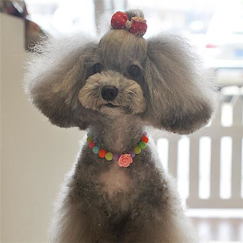 Dog Necklace Cosplay Dog Clothes Puppy Clothes Dog Outfits Costume for Girl and Boy Dog Mixed Material
Dog Necklace Cosplay Dog Clothes Puppy Clothes Dog Outfits Costume for Girl and Boy Dog Mixed Material