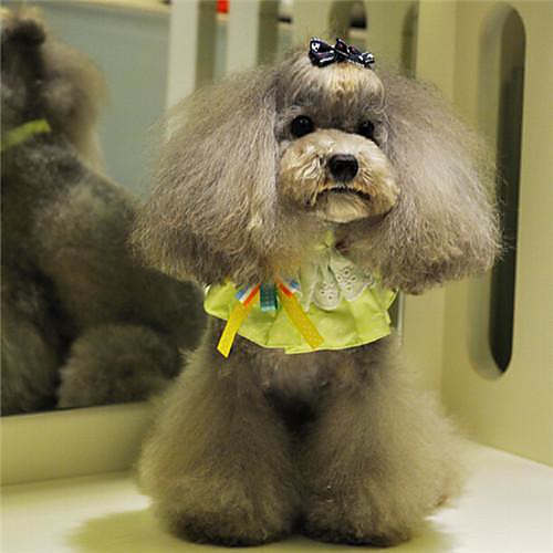 Dog Tie / Bow Tie Cosplay Dog Clothes Puppy Clothes Dog Outfits Costume for Girl and Boy Dog Cotton S M L
Dog Tie / Bow Tie Cosplay Dog Clothes Puppy Clothes Dog Outfits Costume for Girl and Boy Dog Cotton S M L