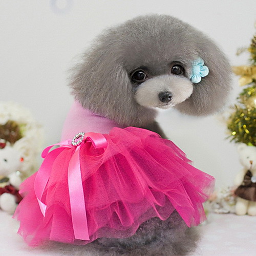 Dog Dress Color Block Fashion Dog Clothes Puppy Clothes Dog Outfits White Black Yellow Costume for Girl and Boy Dog Chiffon XS S M L
Dog Dress Color Block Fashion Dog Clothes Puppy Clothes Dog Outfits White Black Yellow Costume for Girl and Boy Dog Chiffon XS S M L