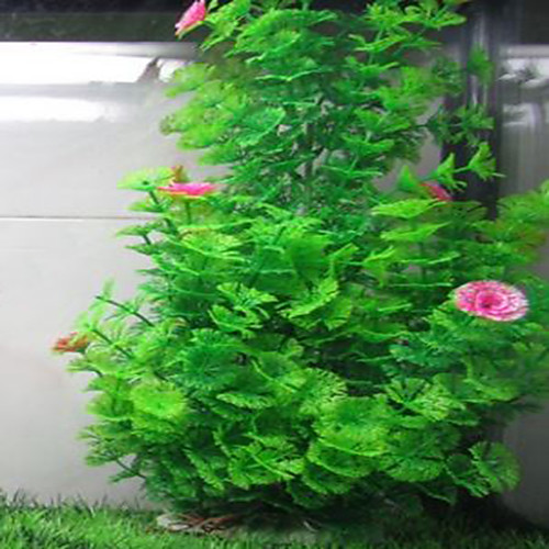 Aquarium Artificial Plants Fish Tank Decoration Water Grass Decor View Decorations Aquarium Home Decoration Accessories
Aquarium Artificial Plants Fish Tank Decoration Water Grass Decor View Decorations Aquarium Home Decoration Accessories