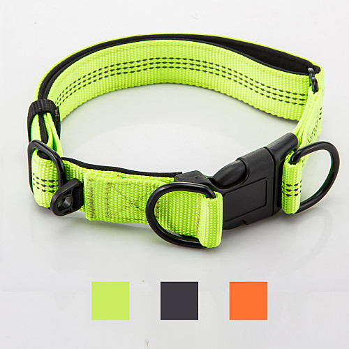 Dog Collar Reflective Adjustable Portable Foldable Safety Solid Colored Nylon Black Orange Green
Dog Collar Reflective Adjustable Portable Foldable Safety Solid Colored Nylon Black Orange Green
