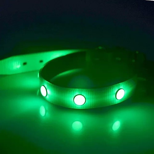 Dog Collar Light Up Collar LED Lights Strobe / Flashing Solid Colored TPU Yellow Red
Dog Collar Light Up Collar LED Lights Strobe / Flashing Solid Colored TPU Yellow Red