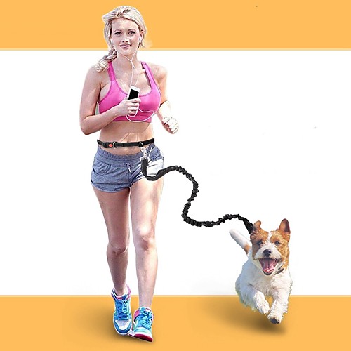 Dog Cat Pets Leash Portable Mini Trainer Walking Casual Solid Colored Nylon Husky Labrador Alaskan Malamute Golden Retriever Dalmatian Border Collie Black Red Blue
Dog Cat Pets Leash Portable Mini Trainer Walking Casual Solid Colored Nylon Husky Labrador Alaskan Malamute Golden Retriever Dalmatian Border Collie Black Red Blue