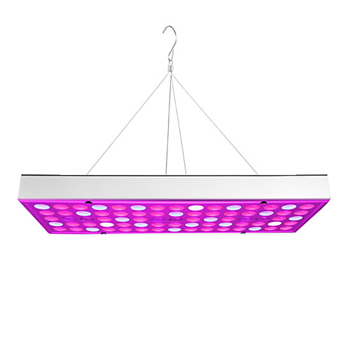 Grow Light for Indoor Plants LED Plant Growing Light Full Spectrum Panel Downlight Full Spectrum 25W 75LED AC85-265V Plants Flowers Vegetation AC 85-265V
Grow Light for Indoor Plants LED Plant Growing Light Full Spectrum Panel Downlight Full Spectrum 25W 75LED AC85-265V Plants Flowers Vegetation AC 85-265V