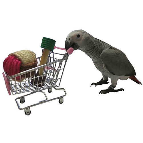 Bird Perches & Ladders Pet Friendly Focus Toy Felt / Fabric Toys Bird Plastic Metal 11 cm
Bird Perches & Ladders Pet Friendly Focus Toy Felt / Fabric Toys Bird Plastic Metal 11 cm