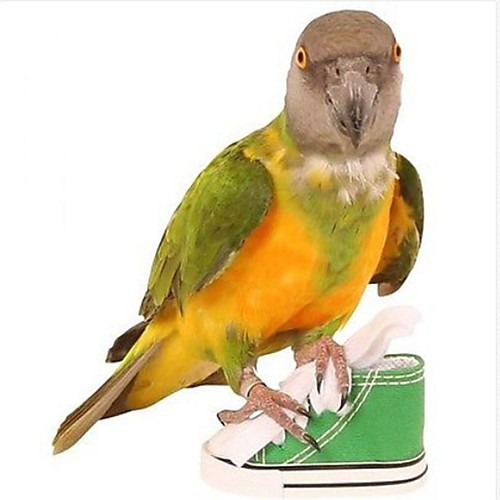 Bird Perches & Ladders Pet Friendly Focus Toy Felt / Fabric Toys Bird Oxford Cloth 7.5 cm
Bird Perches & Ladders Pet Friendly Focus Toy Felt / Fabric Toys Bird Oxford Cloth 7.5 cm