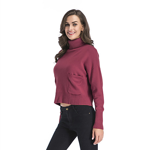 Women's Basic Pocket Knitted Solid Color Plain Pullover Long Sleeve Sweater Cardigans Turtleneck Fall Winter Black Blue Purple
Women's Basic Pocket Knitted Solid Color Plain Pullover Long Sleeve Sweater Cardigans Turtleneck Fall Winter Black Blue Purple