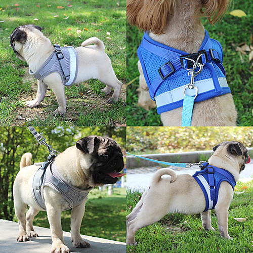 Dog Harness Leash Reflective Band Reflective Portable Trainer Walking Adjustable Size Vest Solid Colored Polyester 100g / m2 Polyester Knit Stretch Husky Labrador Alaskan Malamute Golden Retriever
Dog Harness Leash Reflective Band Reflective Portable Trainer Walking Adjustable Size Vest Solid Colored Polyester 100g / m2 Polyester Knit Stretch Husky Labrador Alaskan Malamute Golden Retriever