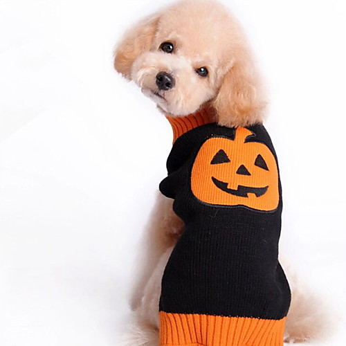 Dog Halloween Costumes Coat Sweater Pumpkin Holiday Halloween Outdoor Winter Dog Clothes Puppy Clothes Dog Outfits Black Costume Large Dog for Girl and Boy Dog Polyster XXS XS S M L XL
Dog Halloween Costumes Coat Sweater Pumpkin Holiday Halloween Outdoor Winter Dog Clothes Puppy Clothes Dog Outfits Black Costume Large Dog for Girl and Boy Dog Polyster XXS XS S M L XL