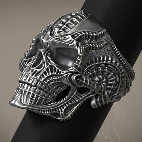 Band Ring Vintage Style Silver Alloy Skull Fashion Vintage Punk 1pc 8 9 10 11 / Men's
Band Ring Vintage Style Silver Alloy Skull Fashion Vintage Punk 1pc 8 9 10 11 / Men's