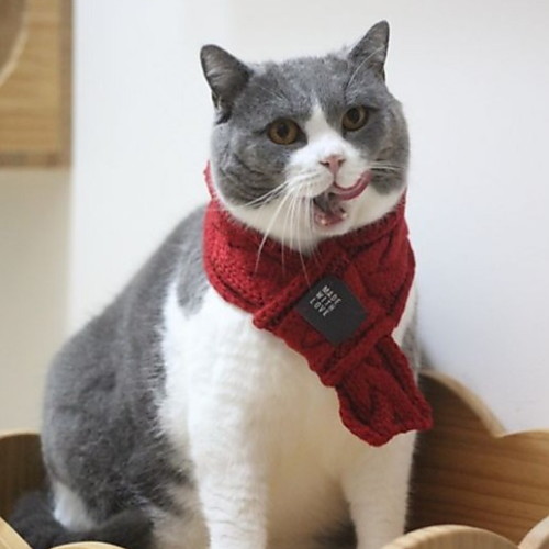 Dog Cat Dog Scarf Puppy Clothes Solid Colored Cosplay Christmas Winter Dog Clothes Puppy Clothes Dog Outfits Red Green Costume for Girl and Boy Dog Polyster S L
Dog Cat Dog Scarf Puppy Clothes Solid Colored Cosplay Christmas Winter Dog Clothes Puppy Clothes Dog Outfits Red Green Costume for Girl and Boy Dog Polyster S L