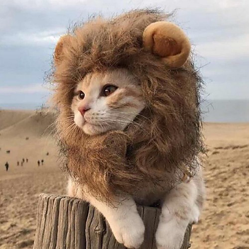 Dog Cat Halloween Costumes Costume Lion Wig Color Block Lion Cosplay Cute Halloween Winter Dog Clothes Puppy Clothes Dog Outfits Brown Costume for Girl and Boy Dog Polyster S M L
Dog Cat Halloween Costumes Costume Lion Wig Color Block Lion Cosplay Cute Halloween Winter Dog Clothes Puppy Clothes Dog Outfits Brown Costume for Girl and Boy Dog Polyster S M L