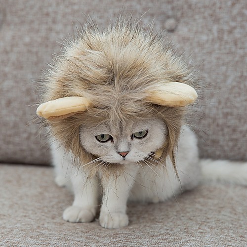 Dog Cat Costume Lion Wig Puppy Clothes Color Block Lion Cosplay Cute Funny Winter Dog Clothes Puppy Clothes Dog Outfits Brown Costume for Girl and Boy Dog Polyster S M L
Dog Cat Costume Lion Wig Puppy Clothes Color Block Lion Cosplay Cute Funny Winter Dog Clothes Puppy Clothes Dog Outfits Brown Costume for Girl and Boy Dog Polyster S M L
