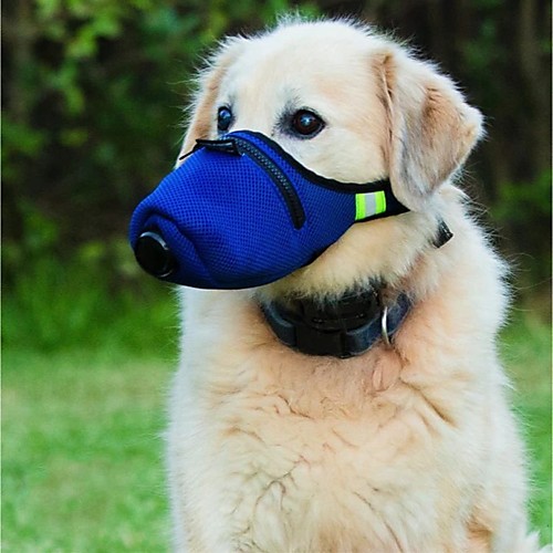 Dog Training Anti Bark Collar Anti Bark Device Pet Friendly Foldable Dog Dog Pets Trainer Adjustable / Retractable Foldable Travel Terylene Behaviour Aids Obedience Training For Pets
Dog Training Anti Bark Collar Anti Bark Device Pet Friendly Foldable Dog Dog Pets Trainer Adjustable / Retractable Foldable Travel Terylene Behaviour Aids Obedience Training For Pets