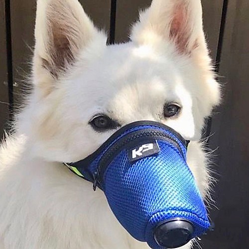 Dog Training Anti Bark Collar Anti Bark Device Pet Friendly Foldable Dog Dog Pets Trainer Adjustable / Retractable Foldable Travel Terylene Behaviour Aids Obedience Training For Pets
Dog Training Anti Bark Collar Anti Bark Device Pet Friendly Foldable Dog Dog Pets Trainer Adjustable / Retractable Foldable Travel Terylene Behaviour Aids Obedience Training For Pets