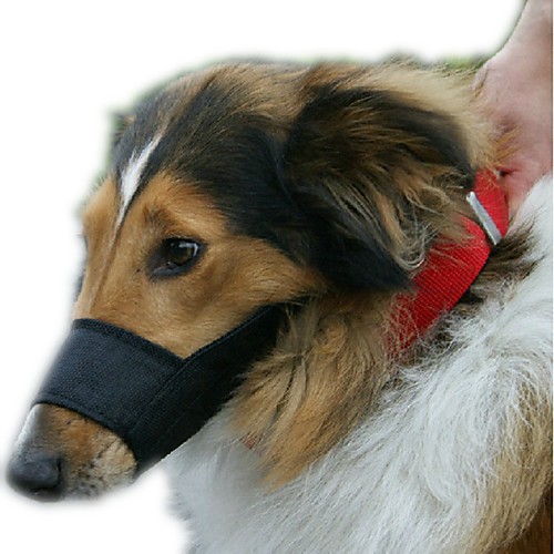 Dog Training Anti Bark Collar Anti Bark Device Pet Friendly Foldable Dog Dog Pets Trainer Adjustable / Retractable Foldable Oxford Cloth Behaviour Aids Obedience Training For Pets
Dog Training Anti Bark Collar Anti Bark Device Pet Friendly Foldable Dog Dog Pets Trainer Adjustable / Retractable Foldable Oxford Cloth Behaviour Aids Obedience Training For Pets