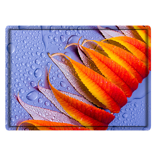 Digital Print Memory Foam Bath Mat Non Slip Absorbent Bathroom Mat Super Soft Microfiber Bath Mat Set Super Cozy Velvety Bathroom Rug Carpet
Digital Print Memory Foam Bath Mat Non Slip Absorbent Bathroom Mat Super Soft Microfiber Bath Mat Set Super Cozy Velvety Bathroom Rug Carpet