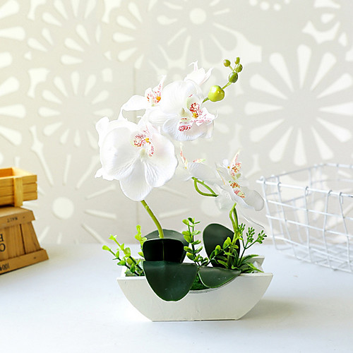 Boat-shaped Tub Two-pronged Phalaenopsis Bonsai Overall Height 30.5cm, Overall Diameter 20.5cm, Basin Height 6cm, Basin Diameter 17.5cm
Boat-shaped Tub Two-pronged Phalaenopsis Bonsai Overall Height 30.5cm, Overall Diameter 20.5cm, Basin Height 6cm, Basin Diameter 17.5cm