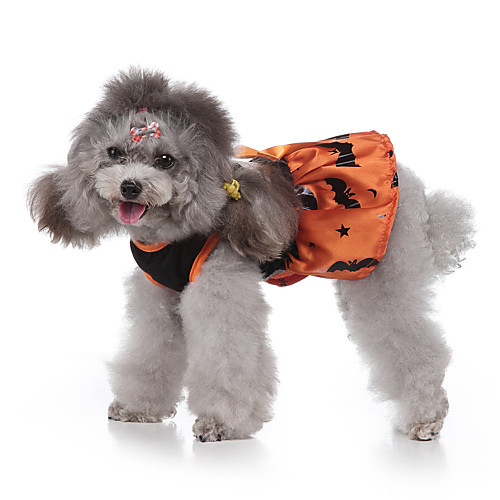 Dog Halloween Costumes Costume Shirt / T-Shirt Print Bat Cosplay Cool Christmas Party Dog Clothes Puppy Clothes Dog Outfits Breathable Yellow Costume for Girl and Boy Dog Polyester S M L XL
Dog Halloween Costumes Costume Shirt / T-Shirt Print Bat Cosplay Cool Christmas Party Dog Clothes Puppy Clothes Dog Outfits Breathable Yellow Costume for Girl and Boy Dog Polyester S M L XL