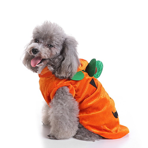 Dog Halloween Costumes Costume Shirt / T-Shirt Pumpkin Casual / Sporty Cute Christmas Party Dog Clothes Puppy Clothes Dog Outfits Breathable Yellow Costume for Girl and Boy Dog Polyester S M XL
Dog Halloween Costumes Costume Shirt / T-Shirt Pumpkin Casual / Sporty Cute Christmas Party Dog Clothes Puppy Clothes Dog Outfits Breathable Yellow Costume for Girl and Boy Dog Polyester S M XL