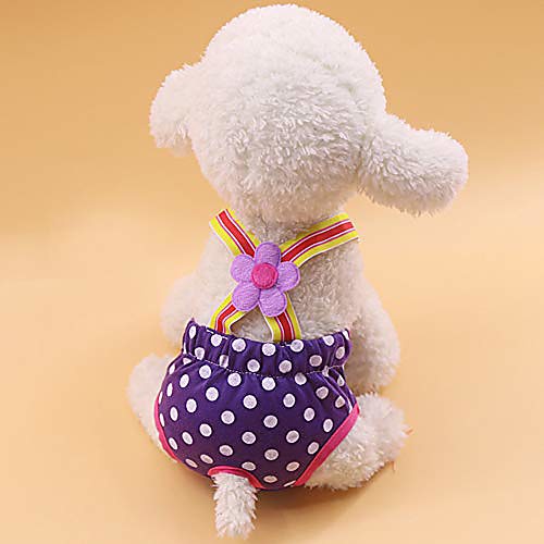 pet dot physiological pants with flower underwear for dog teddy bichon purple 6 birthday
pet dot physiological pants with flower underwear for dog teddy bichon purple 6 birthday