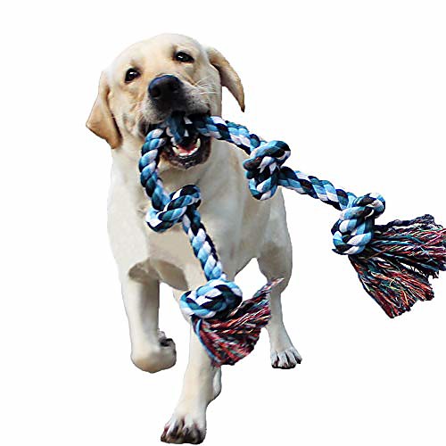 dog rope toys for aggressive chewers tough rope chew toys for large and medium dog 3 feet 5 knots indestructible cotton rope for large breed dog tug of war dog toy teeth cleaning
dog rope toys for aggressive chewers tough rope chew toys for large and medium dog 3 feet 5 knots indestructible cotton rope for large breed dog tug of war dog toy teeth cleaning