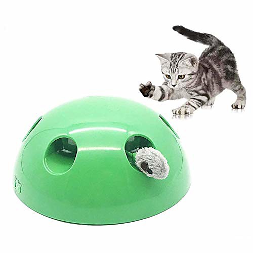 cat interactive toys pet automatic electronic motion toy smart random moving funny cat tool claw pet supplies green
cat interactive toys pet automatic electronic motion toy smart random moving funny cat tool claw pet supplies green