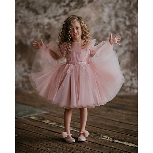 Princess Knee Length Flower Girl Dresses Party Tulle Sleeveless Jewel Neck with Pleats
Princess Knee Length Flower Girl Dresses Party Tulle Sleeveless Jewel Neck with Pleats