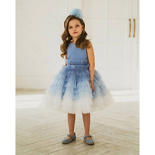 Princess Knee Length Flower Girl Dresses Party Tulle Sleeveless Jewel Neck with Tier
Princess Knee Length Flower Girl Dresses Party Tulle Sleeveless Jewel Neck with Tier