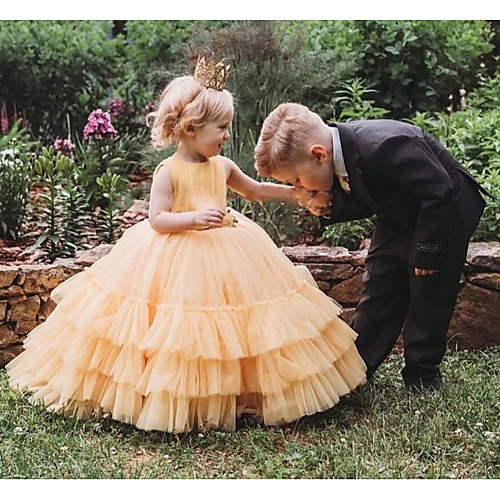 Princess Court Train Flower Girl Dresses Party Tulle Sleeveless Jewel Neck with Tier
Princess Court Train Flower Girl Dresses Party Tulle Sleeveless Jewel Neck with Tier