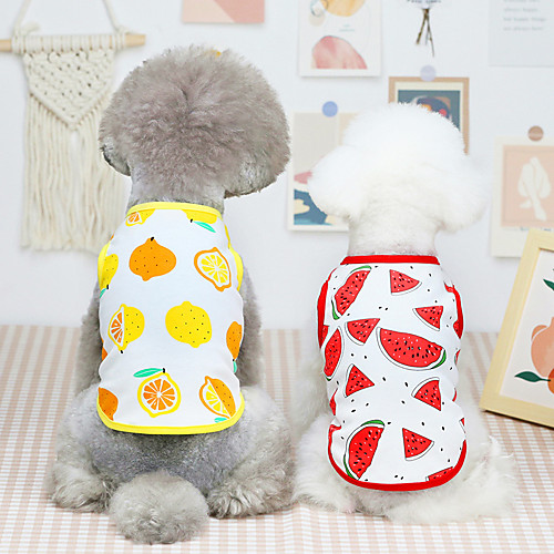 Dog Cat Shirt / T-Shirt Vest Watermelon Fruit Basic Adorable Cute Dailywear Casual / Daily Dog Clothes Puppy Clothes Dog Outfits Breathable Yellow Red Pink Costume for Girl and Boy Dog Cotton XS S M
Dog Cat Shirt / T-Shirt Vest Watermelon Fruit Basic Adorable Cute Dailywear Casual / Daily Dog Clothes Puppy Clothes Dog Outfits Breathable Yellow Red Pink Costume for Girl and Boy Dog Cotton XS S M