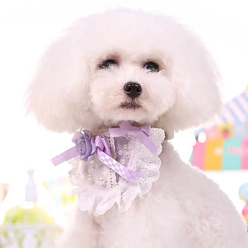 Dog Cat Collar Foldable Animal Lace PU Leather / Polyurethane Leather Blue Pink
Dog Cat Collar Foldable Animal Lace PU Leather / Polyurethane Leather Blue Pink