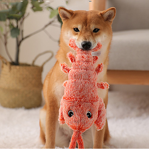 Dog Chew Toys Interactive Toy Dog Toy Dog Cat Animal Pet Exercise Releasing Pressure Plush Gift Pet Toy Pet Play
Dog Chew Toys Interactive Toy Dog Toy Dog Cat Animal Pet Exercise Releasing Pressure Plush Gift Pet Toy Pet Play