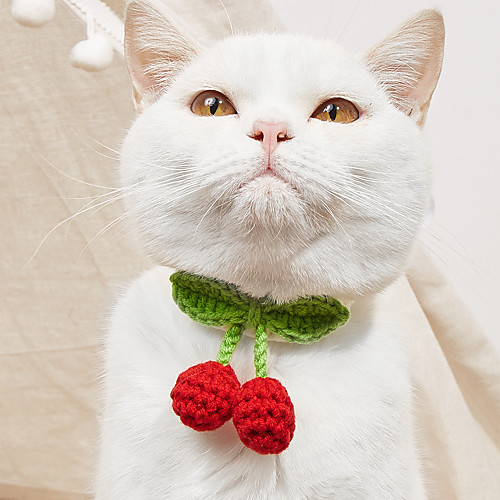 Cat Necklace Cherry Adorable Cute Dailywear Casual / Daily Dog Clothes Puppy Clothes Dog Outfits Washable Red Pink Costume for Girl and Boy Dog Cotton XS S M
Cat Necklace Cherry Adorable Cute Dailywear Casual / Daily Dog Clothes Puppy Clothes Dog Outfits Washable Red Pink Costume for Girl and Boy Dog Cotton XS S M
