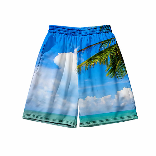 Men's 3D Print Shorts Daily Holiday Shorts Pants Graphic Graphic Prints Short Sporty Print Blue / Summer
Men's 3D Print Shorts Daily Holiday Shorts Pants Graphic Graphic Prints Short Sporty Print Blue / Summer