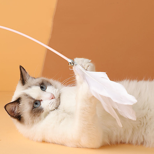 Teaser Feather Toy Interactive Toy Cat Toy Cat Pet Exercise Releasing Pressure Nylon Gift Pet Toy Pet Play
Teaser Feather Toy Interactive Toy Cat Toy Cat Pet Exercise Releasing Pressure Nylon Gift Pet Toy Pet Play