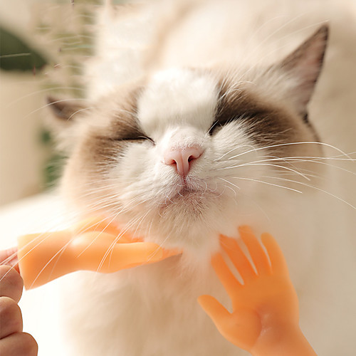 Interactive Toy Cat Toy Little Finger Gloves Kitten Pet Exercise Releasing Pressure Laughing Cat Funny Massage Plastic Gift Pet Toy Pet Play
Interactive Toy Cat Toy Little Finger Gloves Kitten Pet Exercise Releasing Pressure Laughing Cat Funny Massage Plastic Gift Pet Toy Pet Play