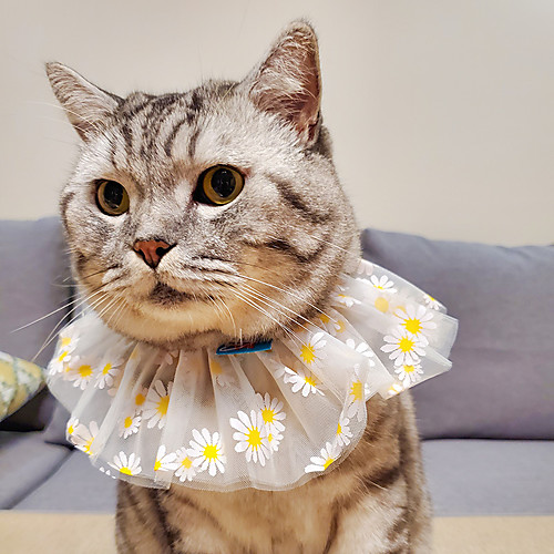 Dog Cat Bandanas & Hats Lace Daisy Elegant Adorable Cute Dailywear Casual / Daily Dog Clothes Puppy Clothes Dog Outfits Breathable Yellow Costume for Girl and Boy Dog Polyester S M
Dog Cat Bandanas & Hats Lace Daisy Elegant Adorable Cute Dailywear Casual / Daily Dog Clothes Puppy Clothes Dog Outfits Breathable Yellow Costume for Girl and Boy Dog Polyester S M