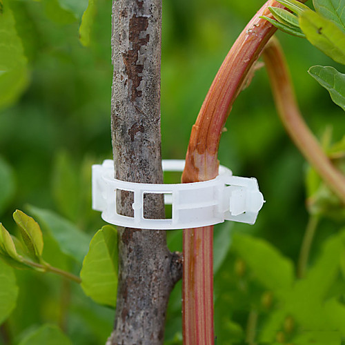 50pcs Reusable 25mm Plastic Plant Support Clips clamps For Plants Hanging Vine Garden Greenhouse Vegetables Tomatoes
50pcs Reusable 25mm Plastic Plant Support Clips clamps For Plants Hanging Vine Garden Greenhouse Vegetables Tomatoes