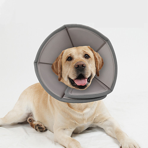 Dog Cat Pet Cone Pet Recovery Collar Elizabeth circle Adjustable Stress Relieving Safety Anti-Bite Lick Wound Healing After Surgery Protective Outdoor Walking Solid Colored EVA Small Dog Gray
Dog Cat Pet Cone Pet Recovery Collar Elizabeth circle Adjustable Stress Relieving Safety Anti-Bite Lick Wound Healing After Surgery Protective Outdoor Walking Solid Colored EVA Small Dog Gray