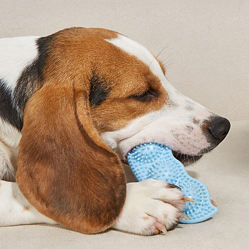 Chew Toy Interactive Toy Sqeauking Toy Dog Cat 1pc Pet Exercise Releasing Pressure Chewing Teething TPR Gift Pet Toy Pet Play
Chew Toy Interactive Toy Sqeauking Toy Dog Cat 1pc Pet Exercise Releasing Pressure Chewing Teething TPR Gift Pet Toy Pet Play
