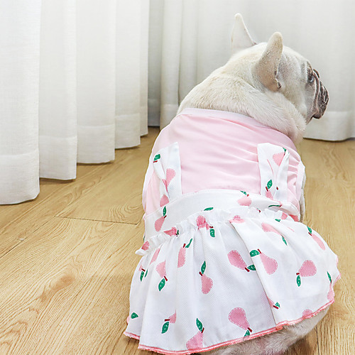 Dog Cat Dress Flower Basic Adorable Cute Casual / Daily Dog Clothes Puppy Clothes Dog Outfits Breathable Light Yellow White / Red Red / Green Costume for Girl and Boy Dog Cotton Fabric XS S M L XL XXL
Dog Cat Dress Flower Basic Adorable Cute Casual / Daily Dog Clothes Puppy Clothes Dog Outfits Breathable Light Yellow White / Red Red / Green Costume for Girl and Boy Dog Cotton Fabric XS S M L XL XXL