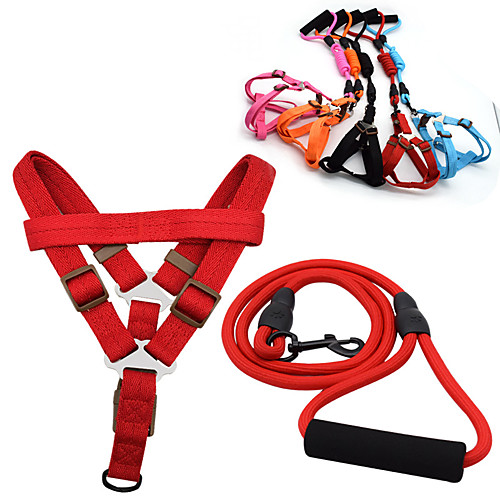 Dog Cat Training Leash Dog Leash Pet Walking Leash Retractable Escape Proof With Anti-Slip Handle Outdoor Walking Solid Colored Nylon Small Dog Medium Dog Black Red Blue Pink Orange
Dog Cat Training Leash Dog Leash Pet Walking Leash Retractable Escape Proof With Anti-Slip Handle Outdoor Walking Solid Colored Nylon Small Dog Medium Dog Black Red Blue Pink Orange