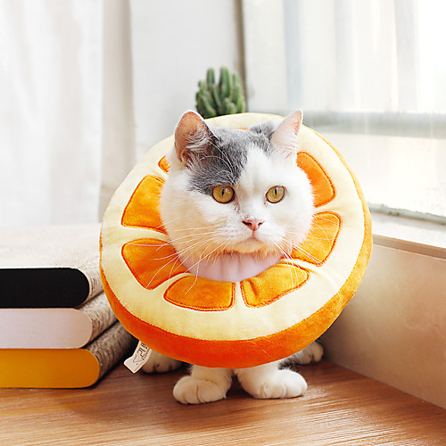 Dog Cat Pet Cone Pet Recovery Collar Elizabeth circle Adjustable Stress Relieving Safety Anti-Bite Lick Wound Healing After Surgery Protective Walking Pine Apple Fruit Cotton Small Dog White Yellow
Dog Cat Pet Cone Pet Recovery Collar Elizabeth circle Adjustable Stress Relieving Safety Anti-Bite Lick Wound Healing After Surgery Protective Walking Pine Apple Fruit Cotton Small Dog White Yellow
