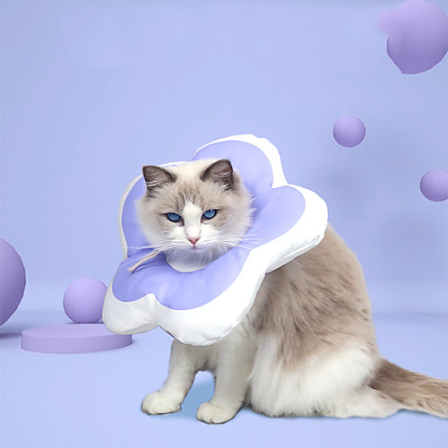 Dog Cat Pet Cone Pet Recovery Collar Elizabeth circle Adjustable Stress Relieving Safety Anti-Bite Lick Wound Healing After Surgery Protective Walking Floral Cotton Small Dog Yellow Blue Pink
Dog Cat Pet Cone Pet Recovery Collar Elizabeth circle Adjustable Stress Relieving Safety Anti-Bite Lick Wound Healing After Surgery Protective Walking Floral Cotton Small Dog Yellow Blue Pink