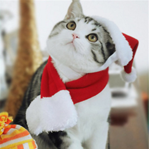Dog Cat Dog Scarf Christmas Elegant Adorable Cute Christmas Dailywear Dog Clothes Puppy Clothes Dog Outfits Breathable Red Costume for Girl and Boy Dog Cotton S M L
Dog Cat Dog Scarf Christmas Elegant Adorable Cute Christmas Dailywear Dog Clothes Puppy Clothes Dog Outfits Breathable Red Costume for Girl and Boy Dog Cotton S M L