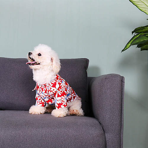 Dog Cat T-shirts Elegant Adorable Cute Dailywear Casual / Daily Dog Clothes Puppy Clothes Dog Outfits Breathable Red Black Green Costume for Girl and Boy Dog Cotton XS S M L XL
Dog Cat T-shirts Elegant Adorable Cute Dailywear Casual / Daily Dog Clothes Puppy Clothes Dog Outfits Breathable Red Black Green Costume for Girl and Boy Dog Cotton XS S M L XL